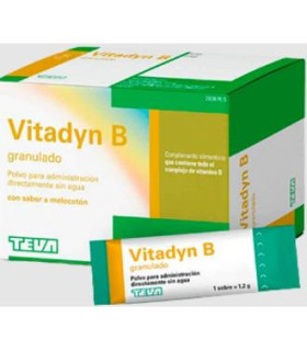 VITADYN B POLVO ORAL granulado 40 sobres