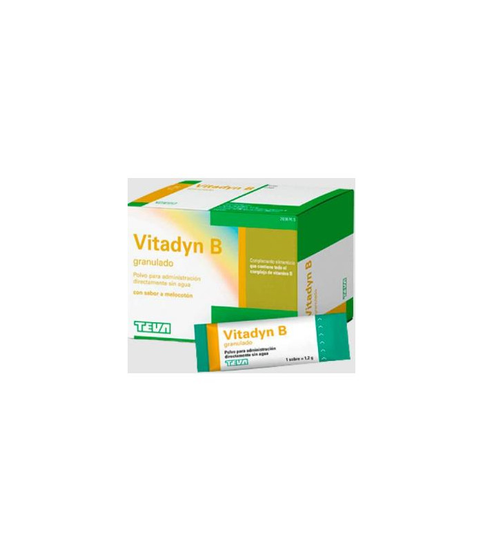 VITADYN B POLVO ORAL granulado 40 sobres