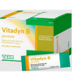 VITADYN B POLVO ORAL granulado 40 sobres