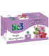 BIE3 RESPIR DESCONGESTIVO infusion 25sbrs.