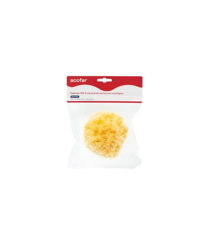 ESPONJA NATURAL gigante