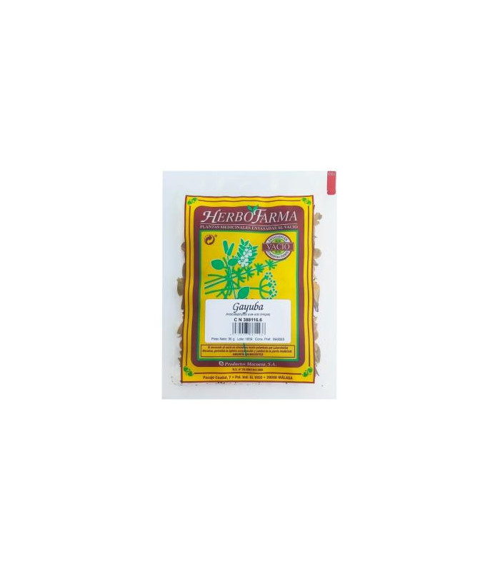 MACOESA GAYUBA HERBOFARMA 30gr