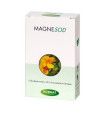 MAGNESOD 60cap.