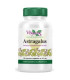 ASTRAGALUS ext. raiz 120cap.