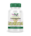 ASTRAGALUS ext. raiz 120cap.