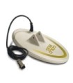 Plato FISHER 10" 25 cm para Goldbug