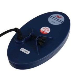 Plato MINELAB 8" Eureka Gold