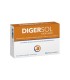 Digersol Stop Acid-20 comprimidos mast. Sin gluten.