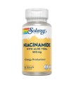 Niacinamide 500 mg- 100 Vegcaps. Apto para veganos.