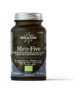 MICO-FIVE+VIT C ECO  - VIDRIO 70C