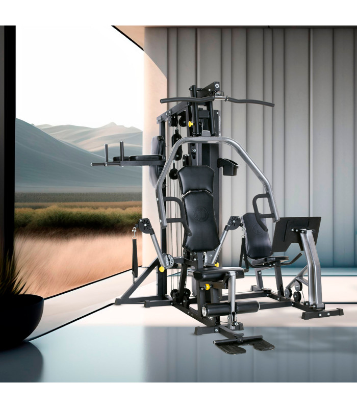 Multiestacion de entrenamiento TORUS 5 - Horizon Fitness