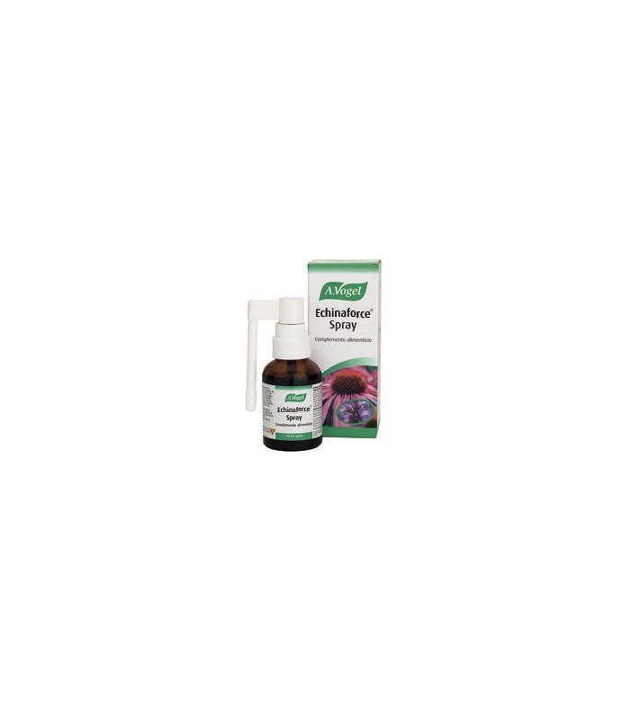 Echinacea  (Echinaforce)  spray 30 ml
