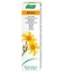 Crema Arnica  tubo 35 g
