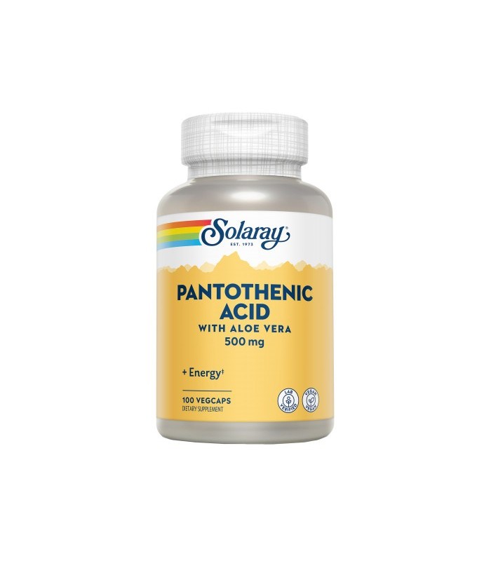 ACIDO PANTOTENICO  500 MG 100 CAPSULAS
