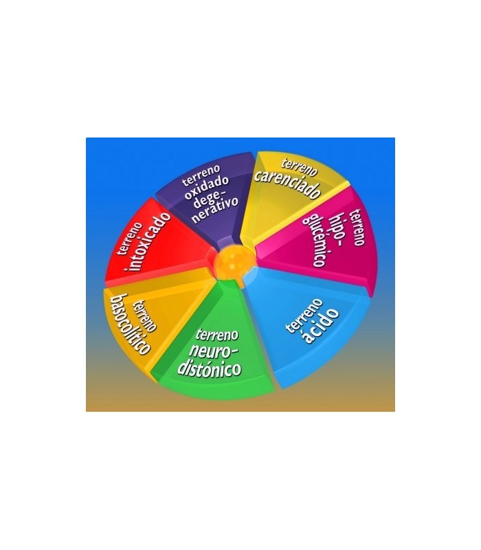 Estudio Bienestar IOMET