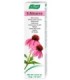 Crema Echinacea antiverugas 35 g