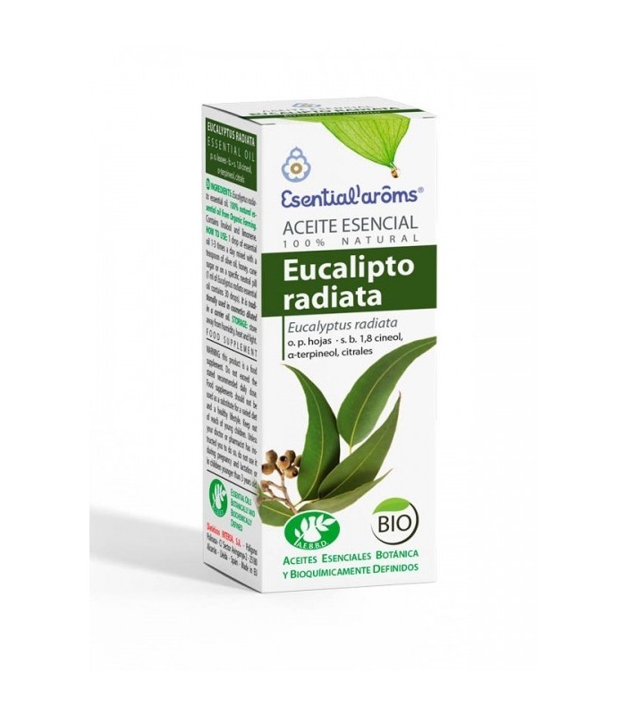 Aceite de Eucalipto radiata 10ML