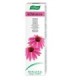 DENTAFORCE ECHINACEA pasta dental gr 100
