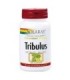 Tribulus  60 cápsulas