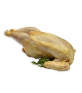 Pollo ecologico