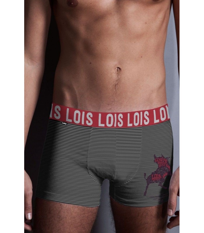 Boxer Cloud de Lois 48110