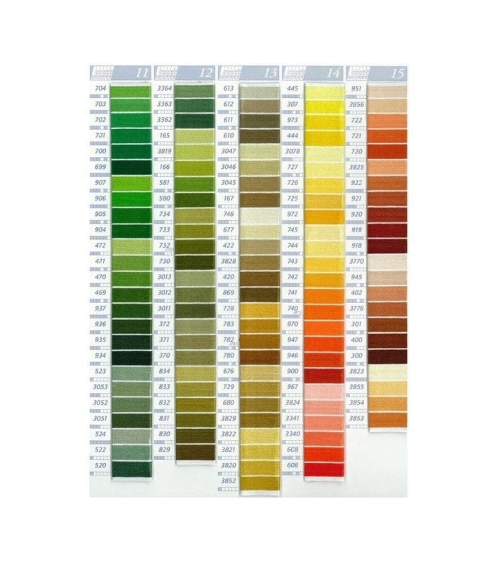 Hilo Mouliné Spécial DMC