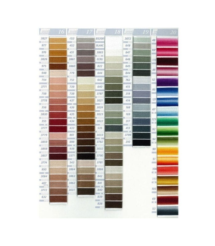 Hilo Mouliné Spécial DMC