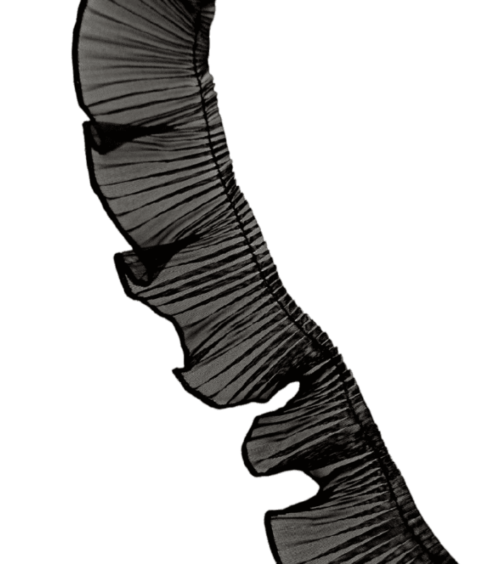 Plisado de Organza Negro de 4Cm