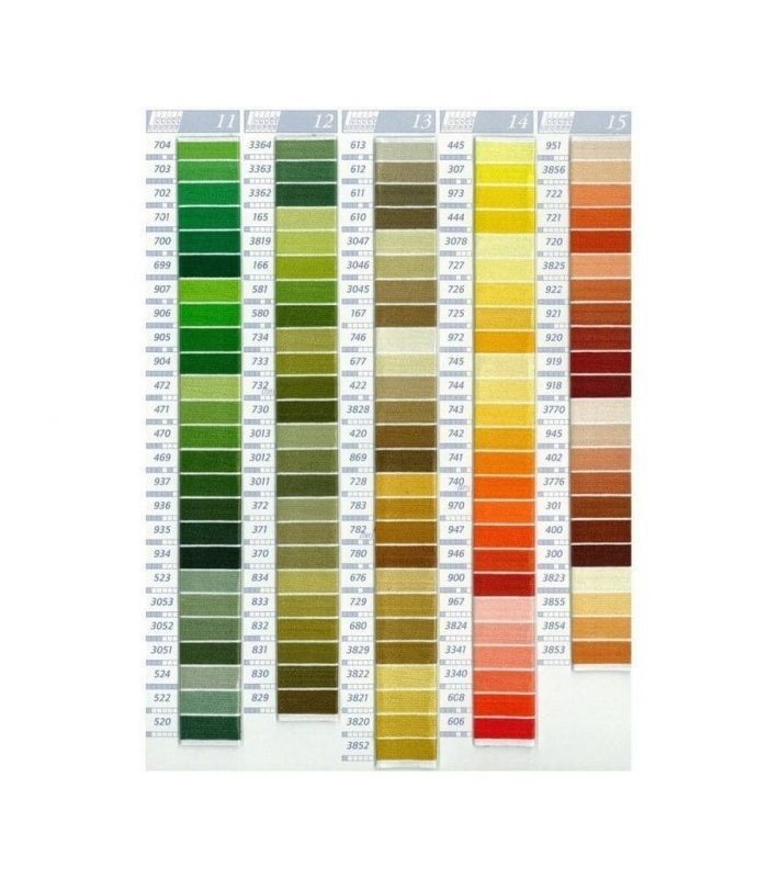 Hilo Mouliné Spécial DMC Color Verde 164