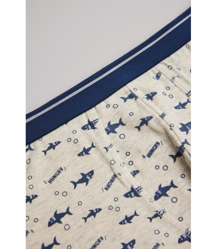 Bóxer Niño 18353  Pack de 2