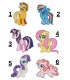 Parches Termoadhesivos Pony
