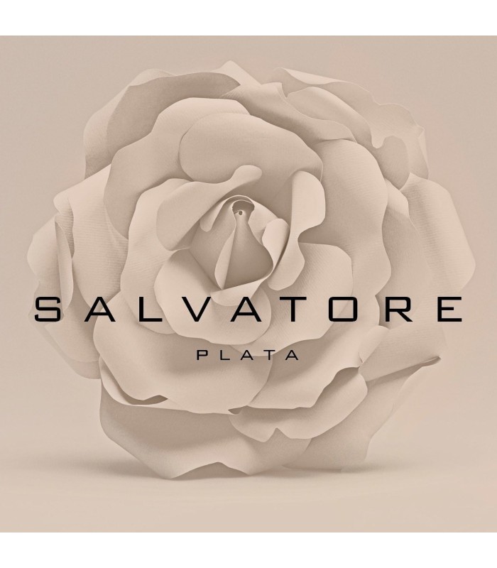 Salvatore Plata Pendientes Mujer Plata Aros Lisos Brillo Cuadrados Tam 3 x 16 mm - 000230752