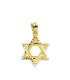 Colgante Estrella de David Oro 18 ktes Tam 14 mm - 000022939